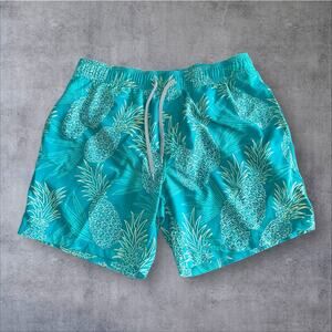 Reyne Spooner Mens L Green Pineapple Drawstring Lined Logo Swim Trunk Shorts